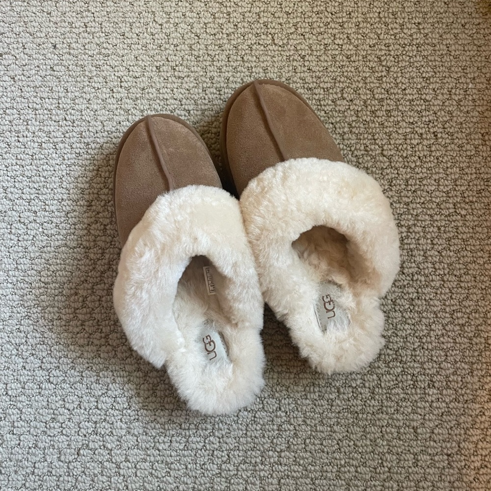 UGG disquette slippers